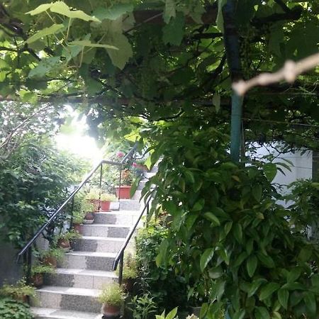 Свети Никола Hotel Sinemoretz Luaran gambar